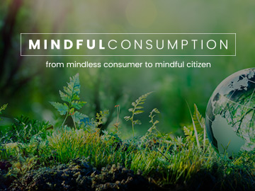 Mindful Consumption Thesis
